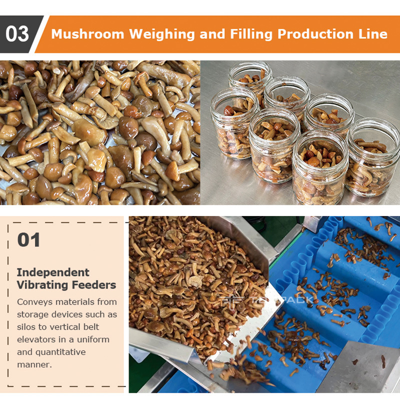 ताज़ा भोजन मीट पाई ट्रे पैकेजिंग मशीन मल्टीहेड वजन स्क्विड झींगा क्लैम एबालोन जिपर बैग स्वचालित पैकिंग मशीन