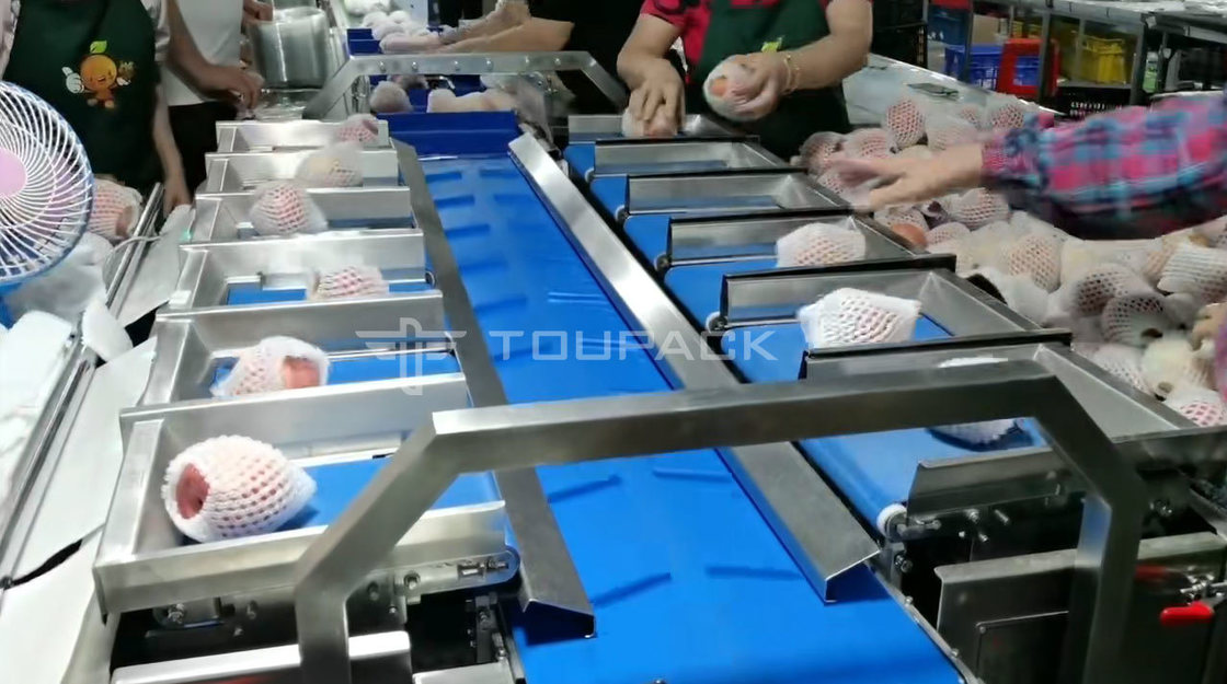 तकिया रोल पैकिंग मशीन Pear Apple Weight Combination Scale Fruit Combination Weigher उच्च परिशुद्धता पैकिंग मशीन