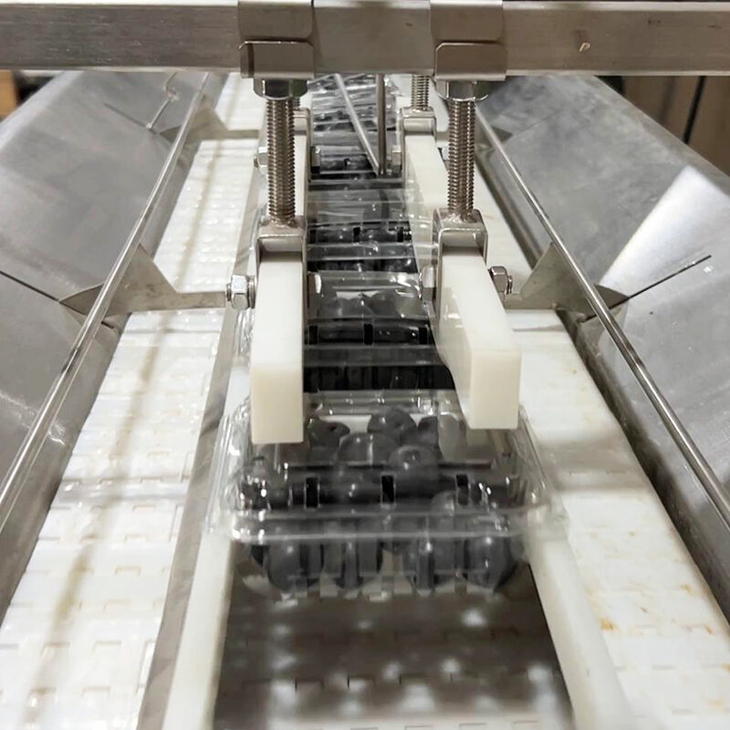 ऑटो ब्लूबेरी फ्रोजन वेज सलाद सब्जी पैकिंग मशीन चेरी टमाटर सब्जी वजन और पैकिंग मशीन