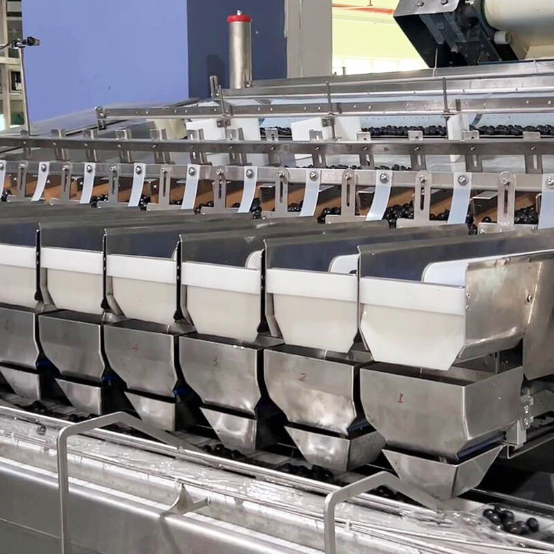 ऑटो ब्लूबेरी फ्रोजन वेज सलाद सब्जी पैकिंग मशीन चेरी टमाटर सब्जी वजन और पैकिंग मशीन