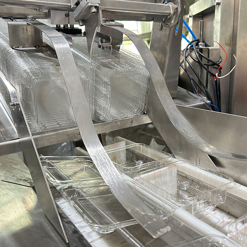 ऑटो ब्लूबेरी फ्रोजन वेज सलाद सब्जी पैकिंग मशीन चेरी टमाटर सब्जी वजन और पैकिंग मशीन