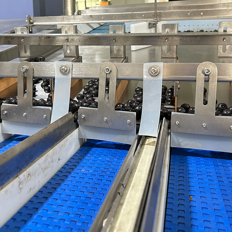 ऑटो ब्लूबेरी फ्रोजन वेज सलाद सब्जी पैकिंग मशीन चेरी टमाटर सब्जी वजन और पैकिंग मशीन