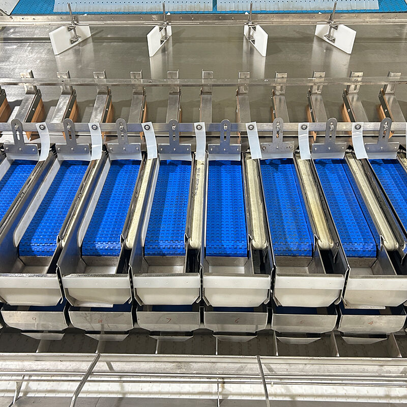 ऑटो ब्लूबेरी फ्रोजन वेज सलाद सब्जी पैकिंग मशीन चेरी टमाटर सब्जी वजन और पैकिंग मशीन