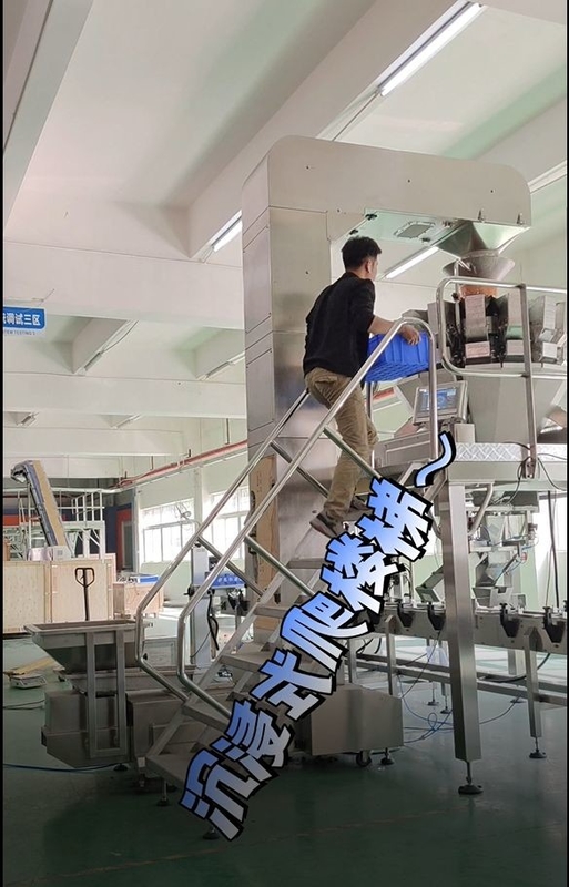 स्टेनलेस स्टील Z झुका हुआ बाल्टी कन्वेयर 10/14 सिर मल्टीहेड वजन के साथ काम कर रहा है;