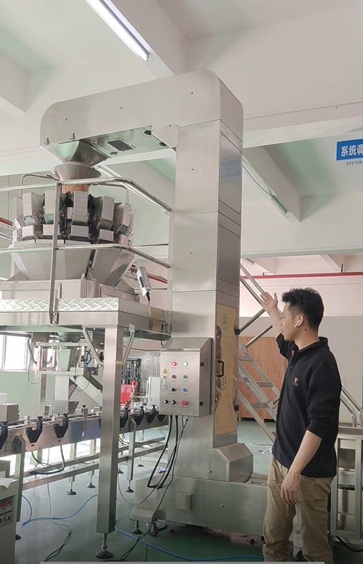 स्टेनलेस स्टील Z झुका हुआ बाल्टी कन्वेयर 10/14 सिर मल्टीहेड वजन के साथ काम कर रहा है;
