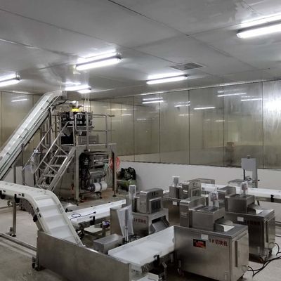 ISO9001 कन्वेयर बेल्ट छँटाई प्रणाली
