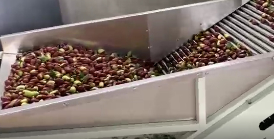 कार्बन स्टील 220V Jujubes छँटाई मशीन छँटाई उत्पादन लाइन