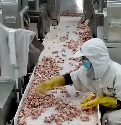 बर्फीले मांस की हड्डी उत्पाद के लिए 20 बैग / न्यूनतम मल्टीहेड वजनी पैकिंग मशीन