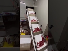 लंबी आकार की सॉसेज, हॉट डॉग के लिए स्वचालित वजन और परिवहन प्रणाली