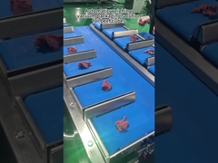 मांस बहु-हेड वेजर पैकिंग मशीन