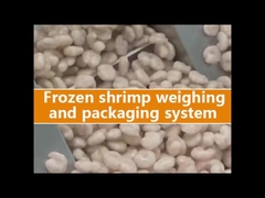 डॉयपैक बैग के लिए मल्टीहेड वेजर पैकिंग मशीन