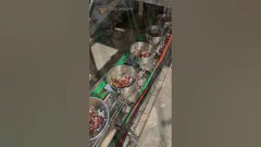 32 हेड मल्टीहेड वेइजर के साथ तोते के भोजन की मिश्रित वजन पैकेजिंग लाइन